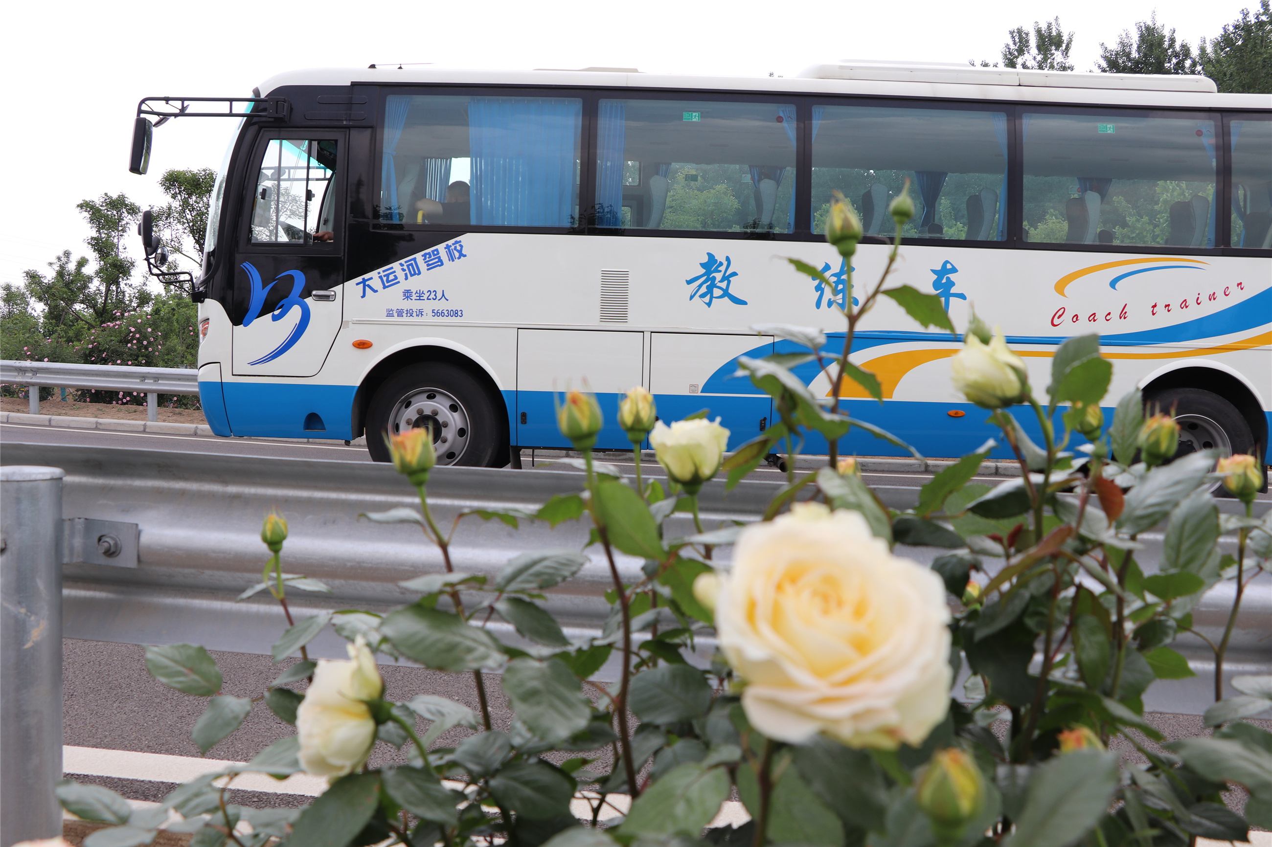 【濟寧大運河駕?！啃乱?guī)實施后駕駛證實習期到底還有沒有？ (圖3)