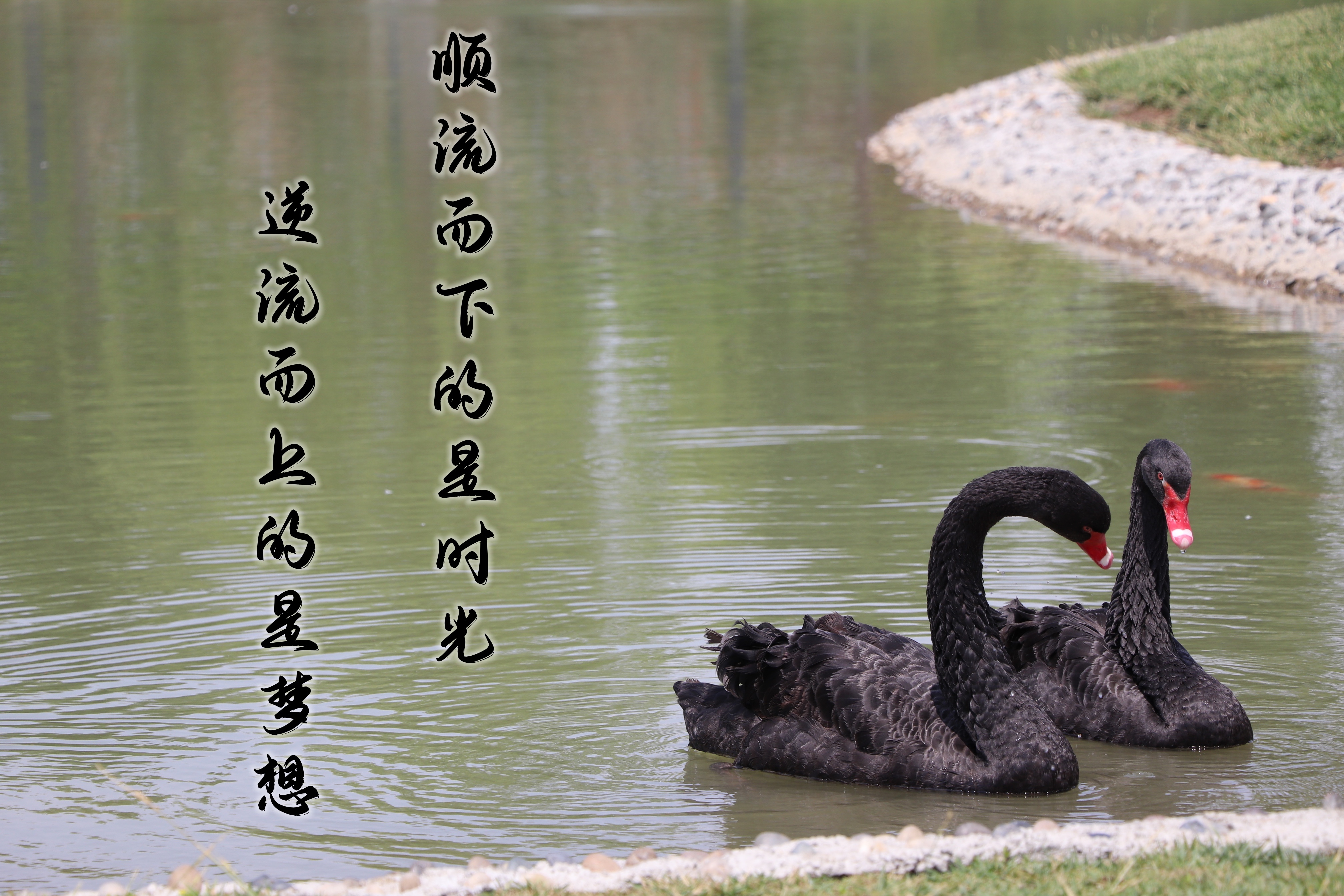 【濟(jì)寧大運(yùn)河駕?！壳の炊?，超越自我無悔青春！(圖5)