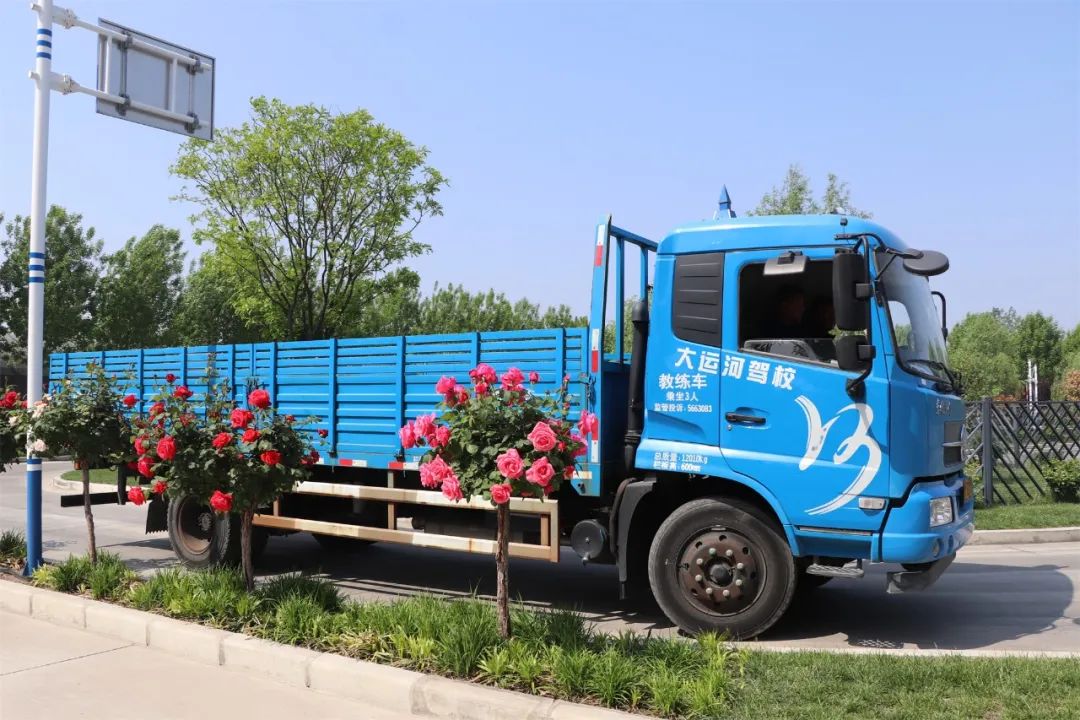 【濟寧大運河駕?！课逅那嗄旯?jié)丨致青春，充實自己，來學車！(圖3)