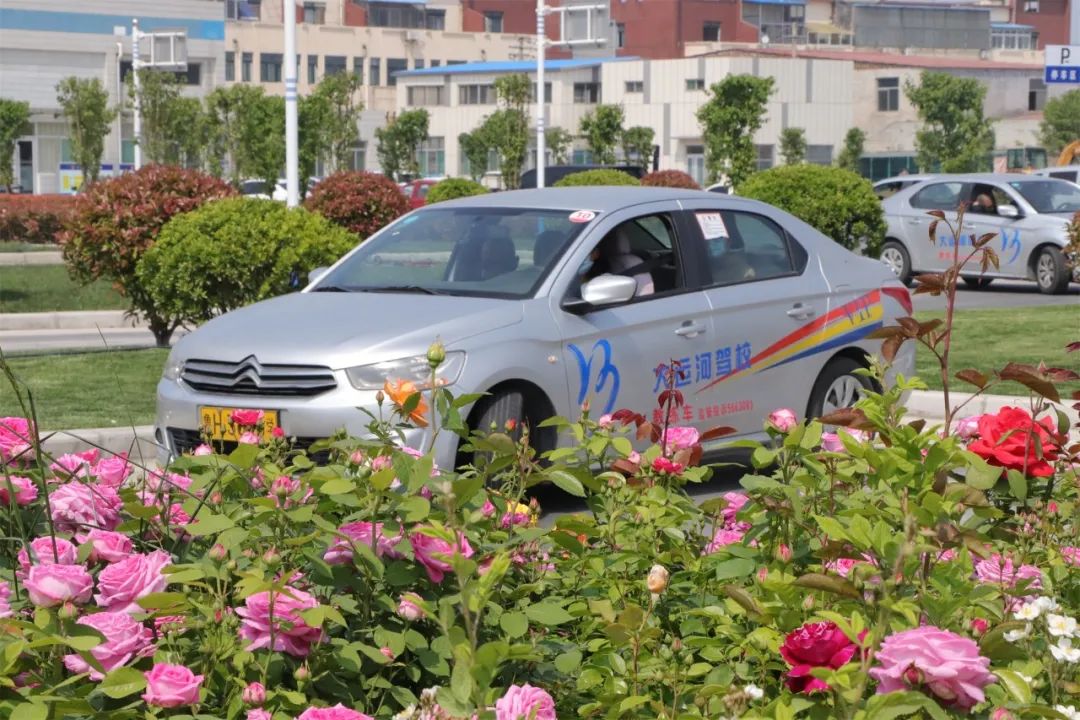 【濟(jì)寧大運(yùn)河駕?！康谑畬谩皩W(xué)車夏令營(yíng)”火爆開啟！(圖1)