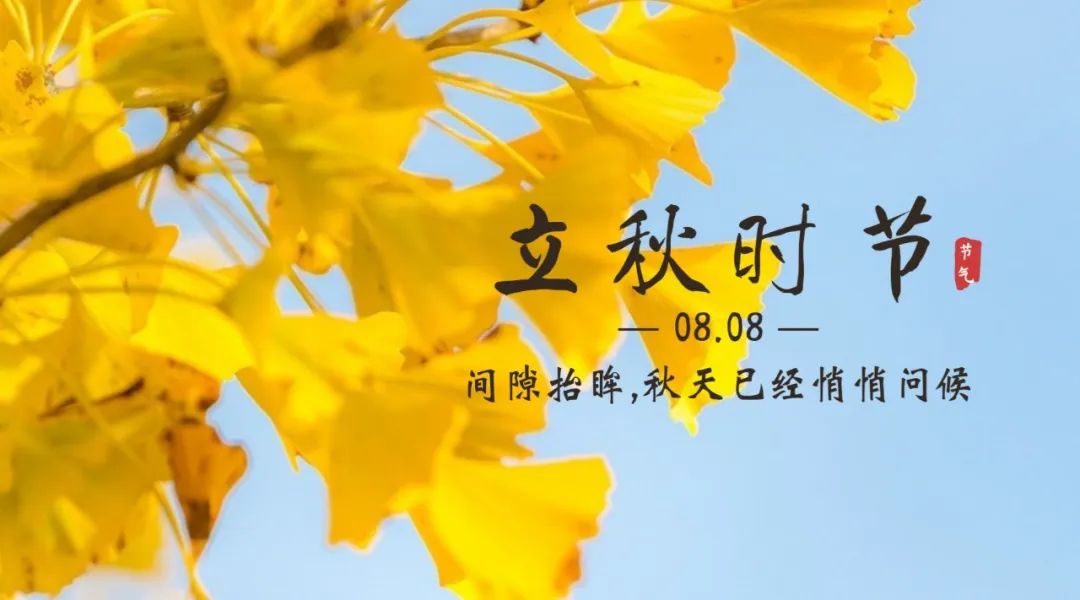 【濟寧大運河駕?！勘Ａ粝牡臒崆椋枷蚴斋@的秋天！(圖3)