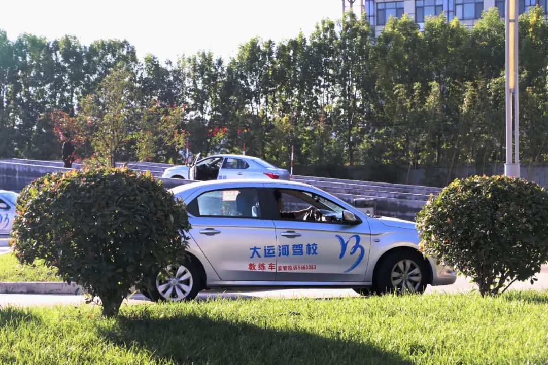 【濟(jì)寧大運(yùn)河駕?！坎鸥型砬?，忽而立冬丨共賞校園初冬美景~(圖7)