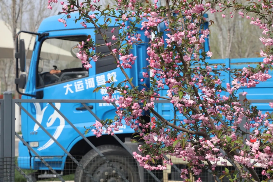 【濟寧大運河駕?！坎回?fù)好春光，學(xué)車正當(dāng)時！(圖2)