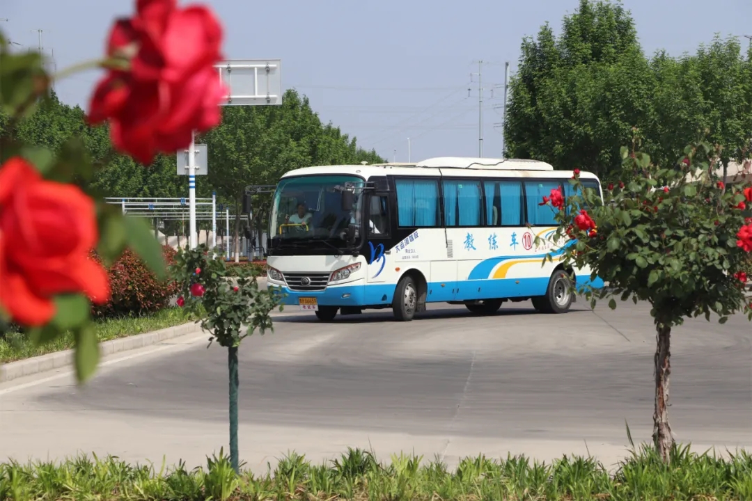 【濟(jì)寧大運(yùn)河駕校】“初夏”小美好，五月學(xué)車正當(dāng)時~(圖7)