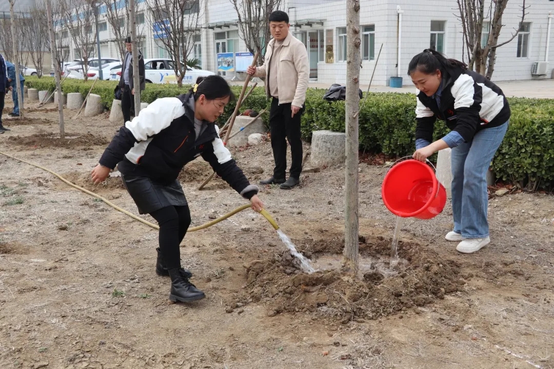 駕校春日行動：“植”此青綠，共筑綠意之路(圖9)