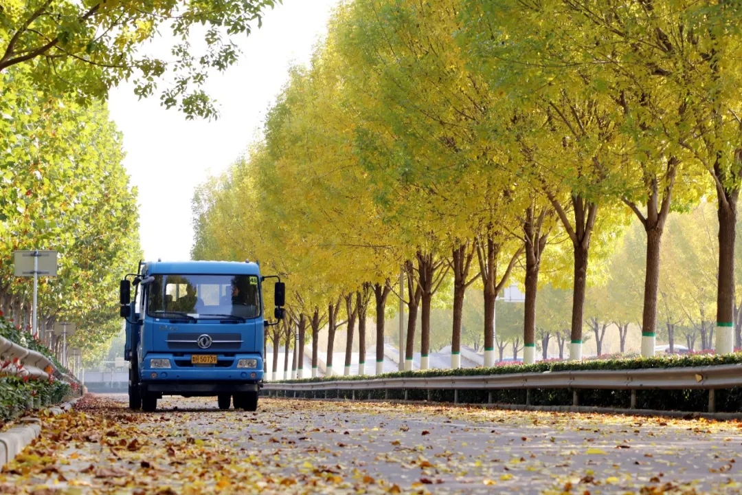 賞校園秋日盛景，享大車班型升級福利——學(xué)車就現(xiàn)在！(圖3)