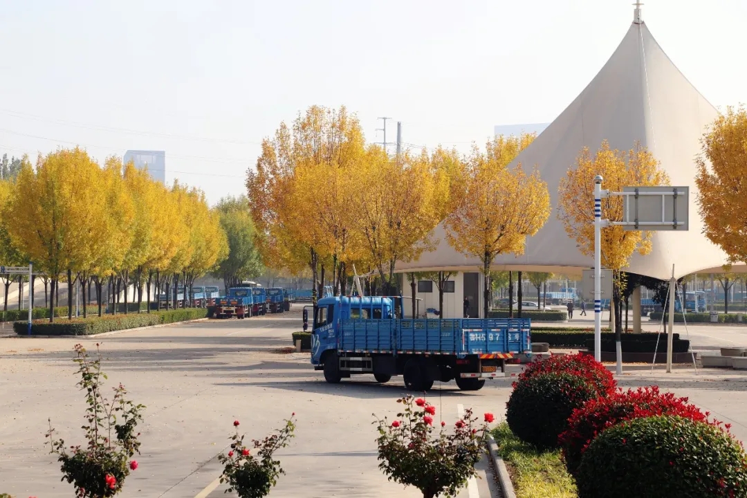 賞校園秋日盛景，享大車班型升級福利——學(xué)車就現(xiàn)在！(圖6)