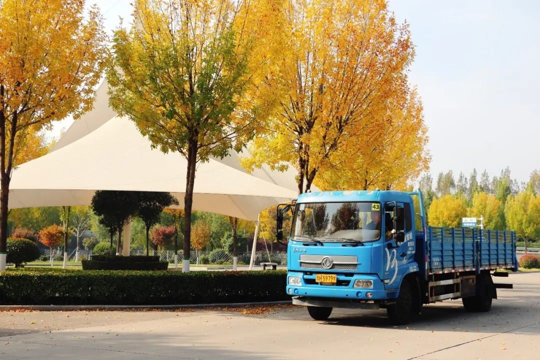 賞校園秋日盛景，享大車班型升級福利——學(xué)車就現(xiàn)在！(圖7)