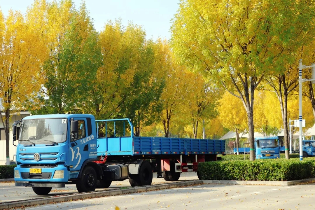 賞校園秋日盛景，享大車班型升級福利——學(xué)車就現(xiàn)在！(圖13)