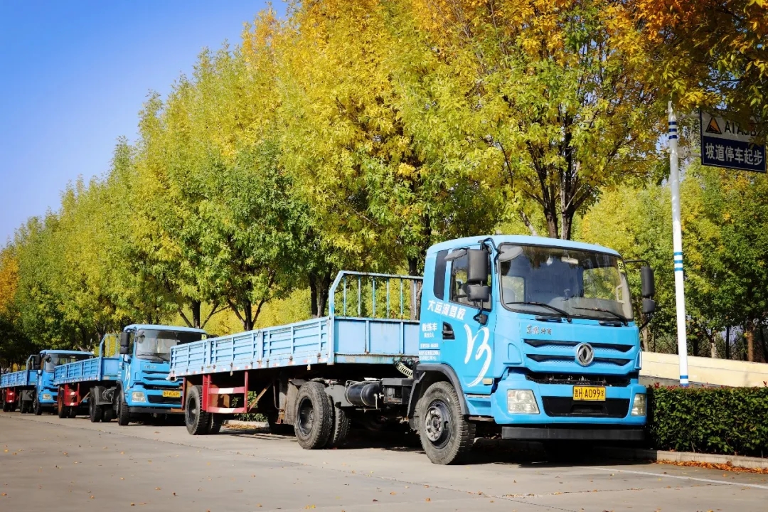 賞校園秋日盛景，享大車班型升級福利——學(xué)車就現(xiàn)在！(圖10)
