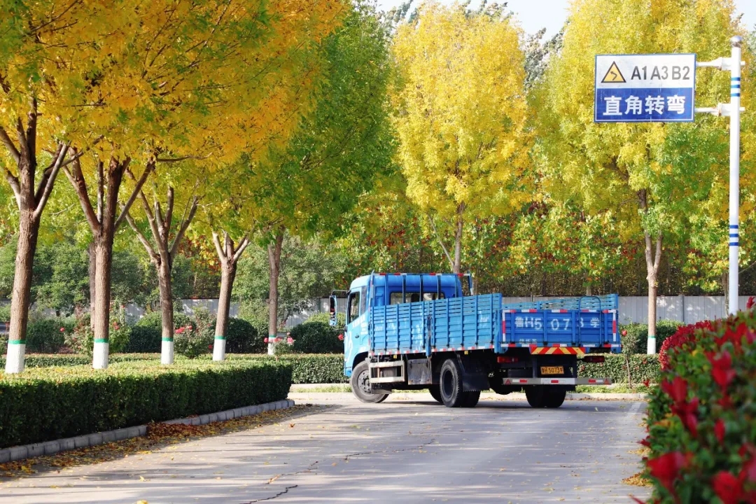 賞校園秋日盛景，享大車班型升級福利——學(xué)車就現(xiàn)在！(圖9)