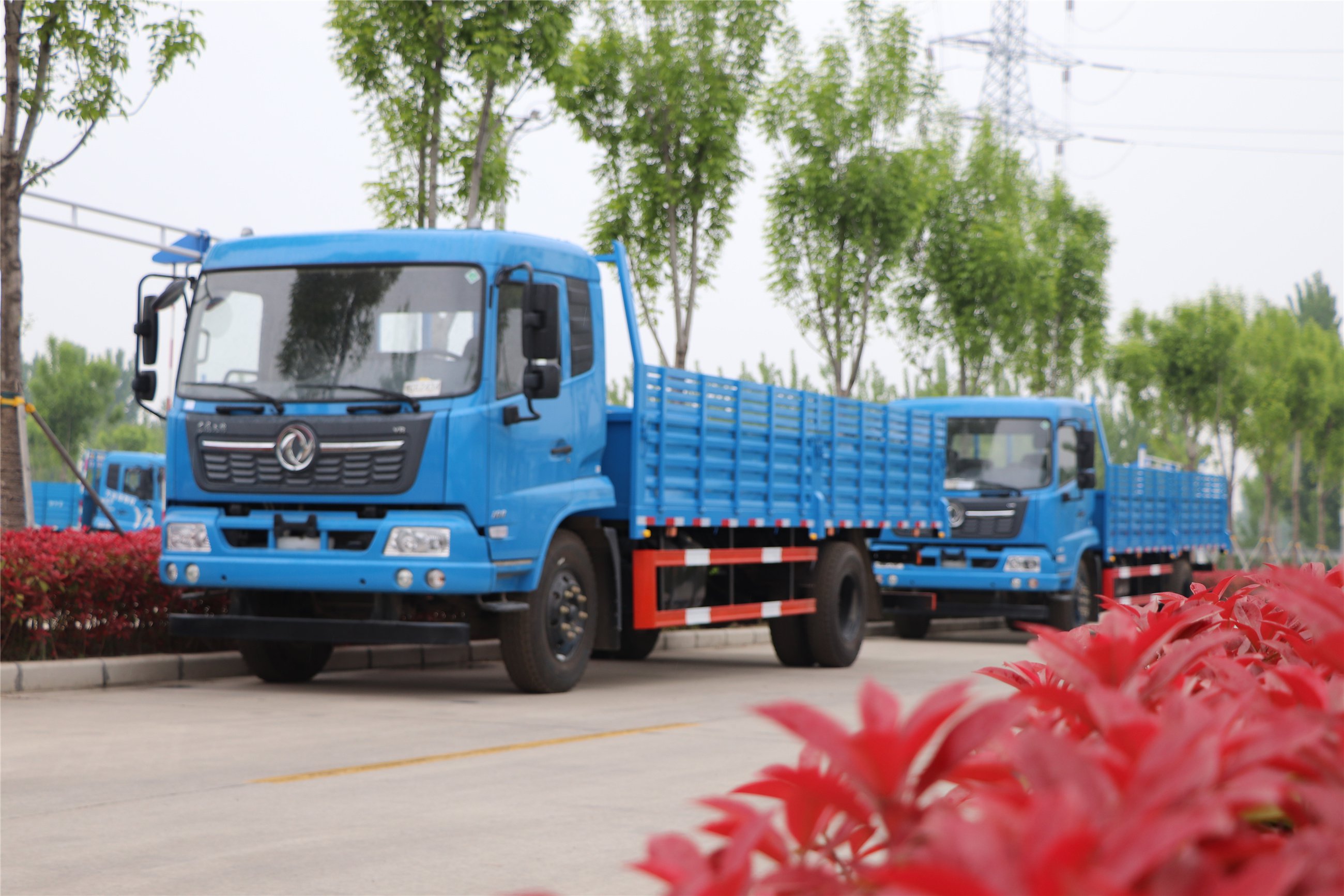 再增新車！助力學員快速拿證。(圖1)